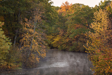 A Beautiful Morning of Autumn in Framingham Massachusetts