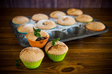 sweet baked muffins with fruit filling in icing sugar