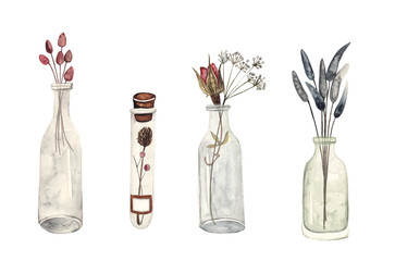 Summer herbarium. Dried flowers and plants in glass bottles, watercolor illustration on white isolated background