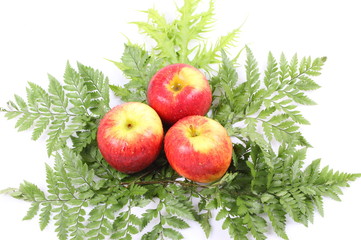 ripe red apple on green leaf on white background