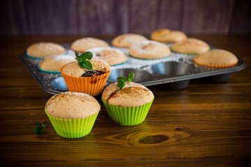 sweet baked muffins with fruit filling in icing sugar