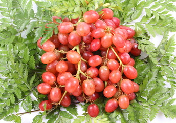 Fresh grapes on a white background.