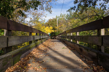 An Autumn Afternoon in Waltham, Massachusetts