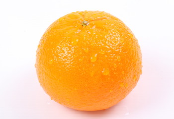 Orange fruit on white background