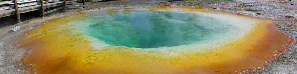 Morning Glory Hot springs, Yellowstone National park