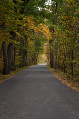 Autumn Landscapes in Massachusetts