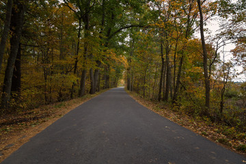Fototapeta na wymiar Autumn Landscapes in Massachusetts