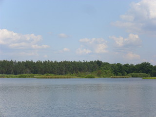 Trebon pond system - magical landscape of ponds, floodplain forests in south czechia