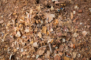 Sawdust or wood dust texture background. Wood sawdust floor texture background closeup.	
