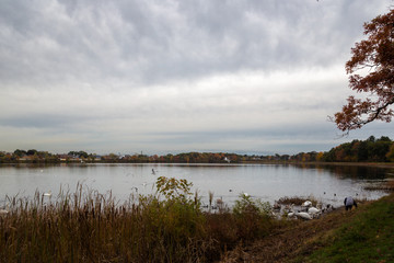 Autumn Landscapes in Massachusetts
