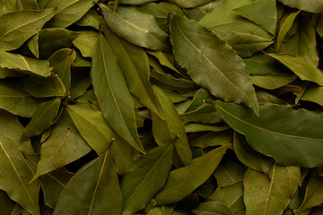 Dried bay leaves texture background