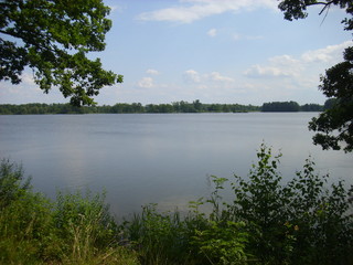 Trebon pond system - magical landscape of ponds, floodplain forests in south czechia