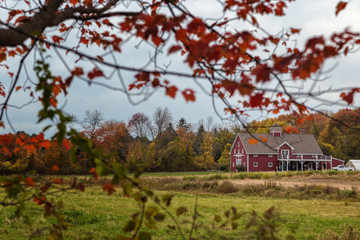 Plakat Autumn Landscapes in Massachusetts
