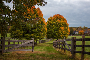 Autumn Landscapes in Massachusetts