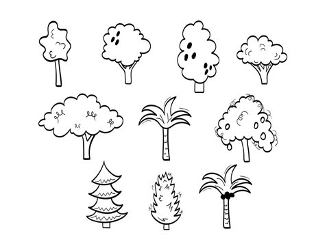 Cartoon tree set with hand drawn elements isolated on white background. Flat trees doodle design. Simple nature silhouettes outlines vector illustration. Mango tree, spruce, asian, european trees.