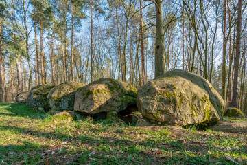 Prehistoric megalith dolmen Kuechentannen near Haldensleben in Germany