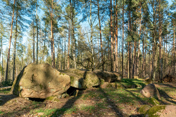 Prehistoric megalith dolmen Kuechentannen near Haldensleben in Germany