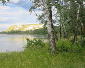 the chalk cliff is reflected in the river and poplars in the grass
