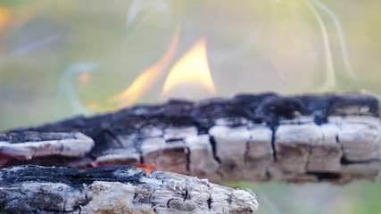 wiosna © Magorzata