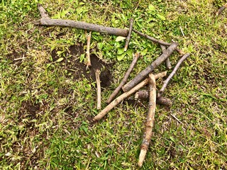 バーベキューごっこ