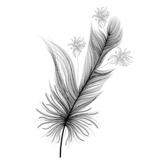 Feathers isolated on a white  background. Vector illustration.