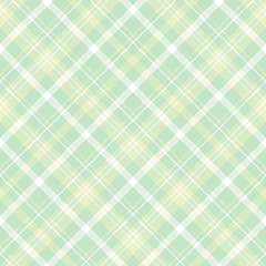 Seamless pattern in interesting pastel green and white colors for plaid, fabric, textile, clothes, tablecloth and other things. Vector image. 2