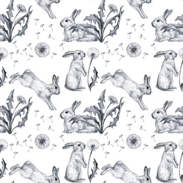 Funny bannies with dandelions. Spring, summer seamless pattern. Design for textile, fabric, wallpaper, kid textile, packaging, paper.