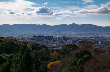 Fototapeta premium Autumn Urban Landscape in Kyoto, Japan