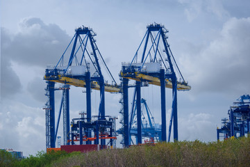 Fototapeta na wymiar A large crane in the harbor