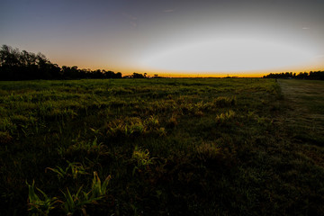 Fototapeta premium Sun rise at the fields 