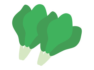 素材＿野菜＿青菜