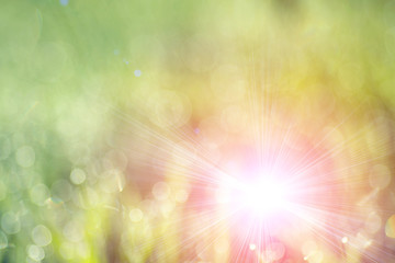 Blurred green background image with elements of round glowing bokeh. Nature background, green...