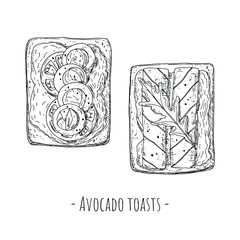 Avocado toasts. Top view. Hand-drawn style. Isolated objects on a white background. Vector cartoon illustrations.