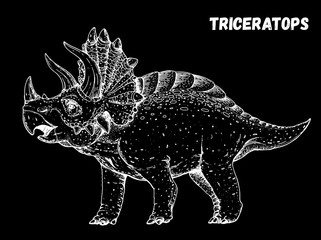 Triceratops dinosaur hand drawn sketch. Vector illustration. Herbivorous dinosaur