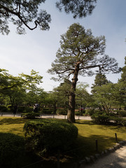 Jardines Kenrokuen, en Kanazawa, Japón
