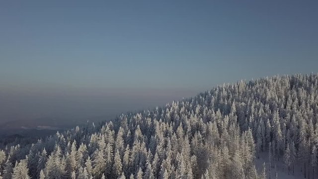 Gorce - G&oacute;ry Karpaty