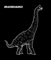 Brachiosaurus dinosaur hand drawn sketch. Vector illustration. Herbivorous dinosaur.
