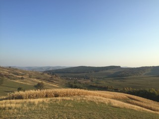 Naklejka premium Summer day landscape