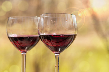 two glasses of red wine in the background of a beautiful natural landscape