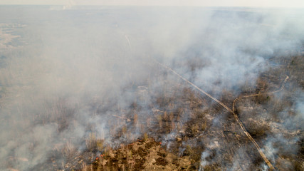 In Ukraine, forests and fields are burning.