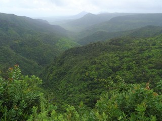 Fototapeta na wymiar Beautiful panorama view at Mauritius national park