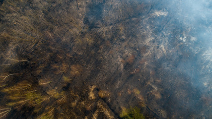 Large-scale fire burned forest. Top view field.