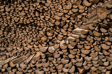 Pile of cut wood