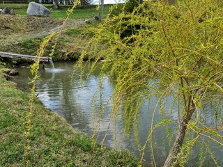Teich in Bayern