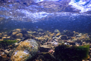 underwater mountain clear river / underwater photo in a freshwater river, fast current, air bubbles by water, underwater ecosystem landscape