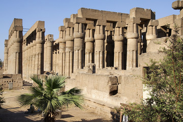 
Temple of Luxor in Egypt