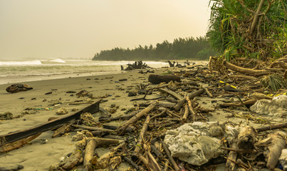 Wild untouched dirty beach scene with many drift wood on the shore because of high waves. Haze and grey sky in Bengkulu