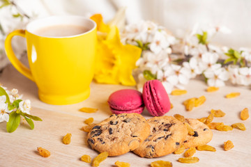Fototapeta na wymiar Morning breakfast. Cup of cappuccino, cookies with chocolate, red macaroons and grape raisin on the wooden background and spring flowers.