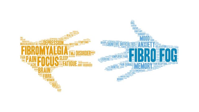 Fibro Fog animated word cloud on a white background. 