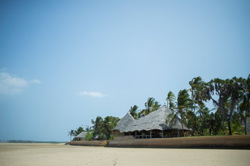 tropical beach with palm trees